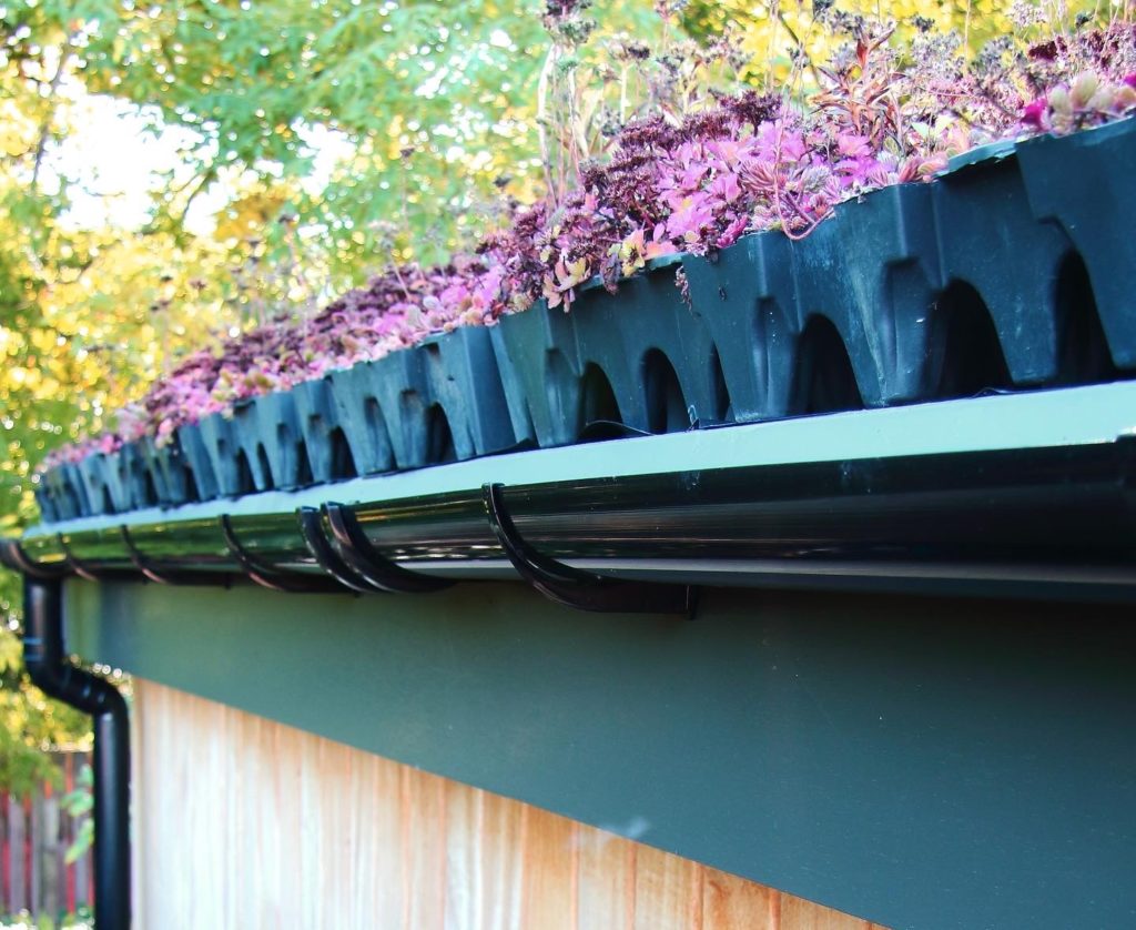 Garden Room Sedum Roof by Mozolowski & Murray